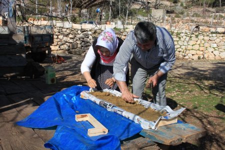 Bir zamanlar dağda çürüyen defne ağacı köylünün geçim kaynağı oldu