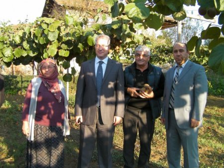 Bir Zamanlar Taneyle Satın Aldığı Kiviyi Şimdi Bahçesinde Yetiştiriyor
