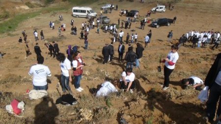 Bitlis Eren Üniversitesi'nde her öğrencinin bir dikili ağacı var