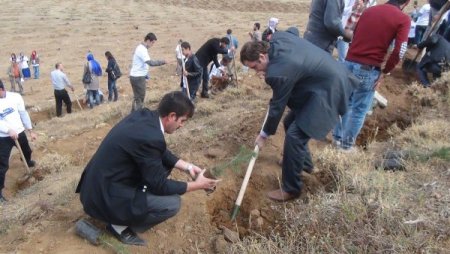 Bitlis Eren Üniversitesi'nde her öğrencinin bir dikili ağacı var