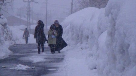 Bitlis yeniden kara gömüldü