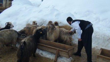 Bitlis’in karını sahneye taşıdılar