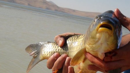 Bitlisli haftanın yorgunluğunu Nazik Gölü'nde atıyor