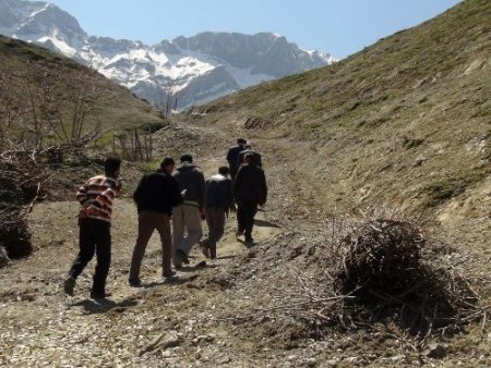 Bitlisli köylüler, GSM sinyalini dağda arıyor