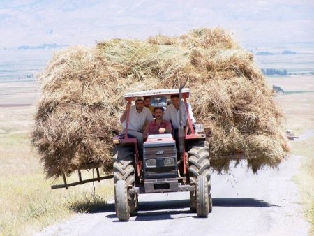 Bitlis'te Çiftçiler Mutsuz
