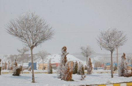 Bitlis’te havalar buz kesiyor