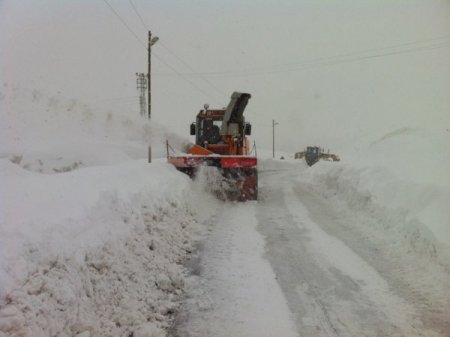 Bitlis’te hayat durma noktasına geldi