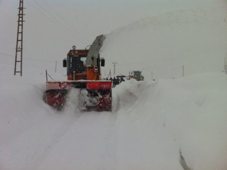Bitlis’te hayat durma noktasına geldi