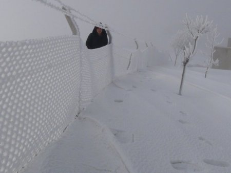 Bitlis’te her şey buz tuttu