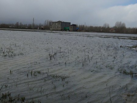 Bitlis’te heyelan maddi hasara yol açtı