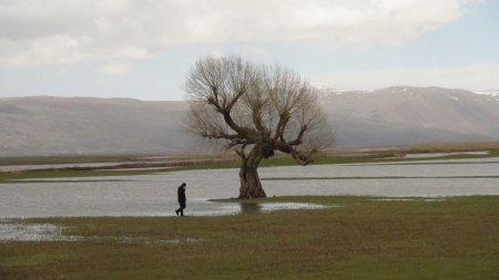 Bitlis’te heyelan maddi hasara yol açtı