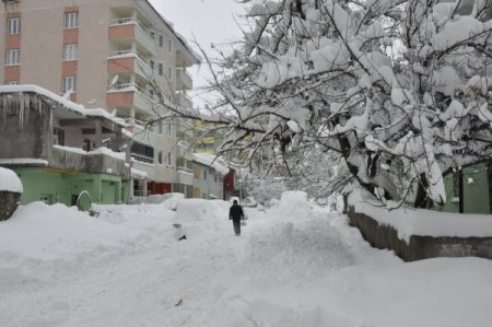 Bitlis'te kar yağışı 7 gün sonra durdu