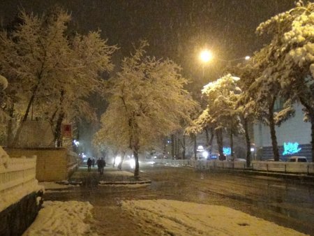 Bitlis’te kar yağışı etkili oluyor