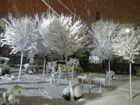 Bitlis’te kar yağışı etkili oluyor