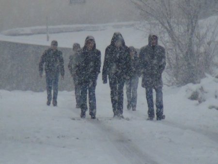 Bitlis’te kar yağışı yeniden etkili oldu
