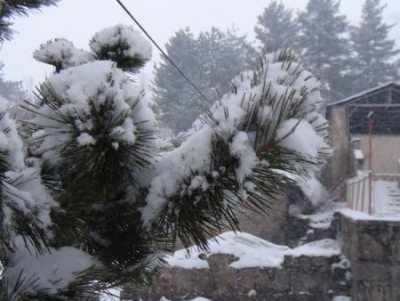 Bitlis’te kar yağışı yeniden etkili oldu