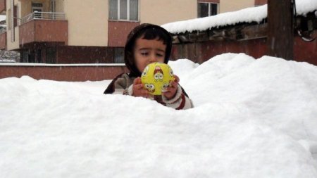 Bitlis’te kar yağışı yeniden etkili oluyor
