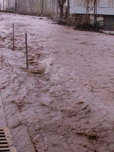 Bitlis’te sele kapılan 70 koyun telef oldu