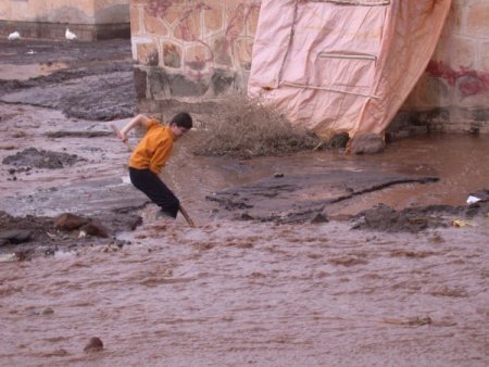 Bitlis’te sele kapılan 70 koyun telef oldu