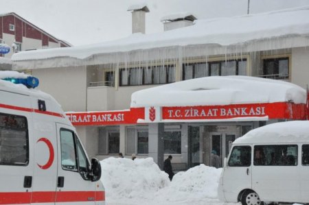 Bitlis'te tek katlı evler kara gömüldü