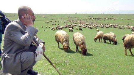 Bitlis’te yayla dönemi başladı