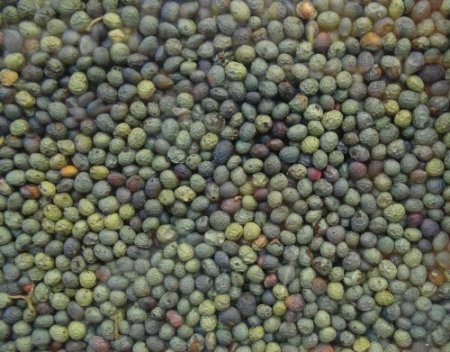 Bıttından üretilen Menengiç kahvesi, ihraç ediliyor