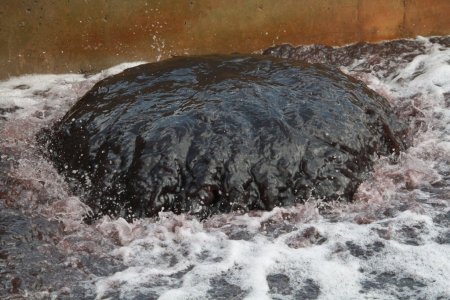 'Blower ve Difüzörlerin Değiştirilmesi Projesi' ile yılda 960 bin TL tasarruf