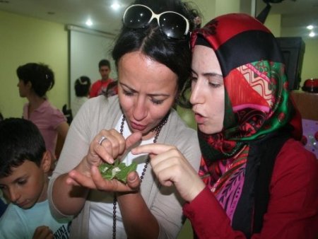 Böcek Şenlik Okulu böcek korkusunu yeniyor