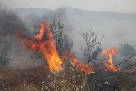 Bodrum'da 2 Farklı Belde De Orman Yangını Çıktı.