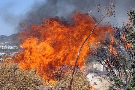 Bodrum'da Yerleşim Birimine Yakın Otluk Alan Yandı