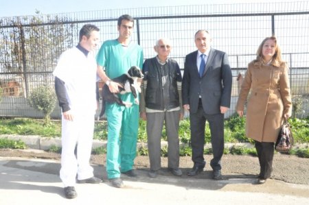Bolu Belediyesi Hayvan Barınağı, yüzlerce sokak köpeğine ev sahipliği yapıyor