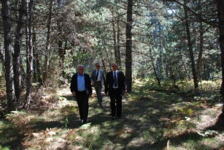 Bolu Valisi Özçimen, Yeni Güney köyünü ziyaret etti