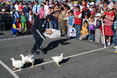Bolu'da Tavuk Yakalama Yarışması Renkli Görüntüler Oluşturdu
