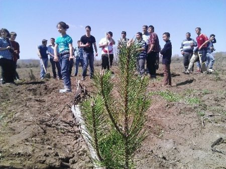 Bolu'daki mülteciler için hatıra ormanı oluşturuldu