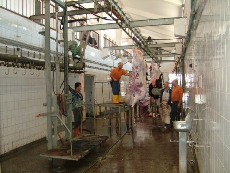 'Bolu'nun adının somut bilgi yokken kullanılmasını doğru bulmuyorum'