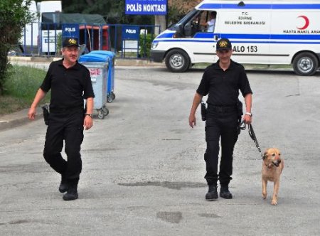 Bomba Dedektör Köpeği Çilek, Kırkpınar Tribünlerinde Bomba Aradı