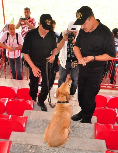 Bomba Dedektör Köpeği Çilek, Kırkpınar Tribünlerinde Bomba Aradı