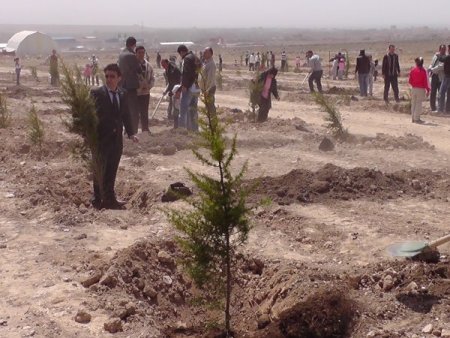 Bor Emniyet Müdürlüğü Personeli, Hatıra Ormanı İçin Ağaç Dikti