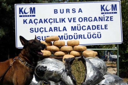 Borcunu ödemek için arkadaş tavsiyesi ile esrar satışına başlamış