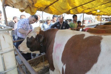 Bornova Belediyesi ekipleri Kurban Bayramı’nda işbaşında