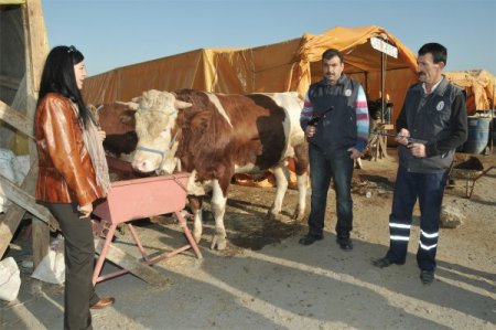 Bornova Belediyesi ekipleri Kurban Bayramı’nda işbaşında