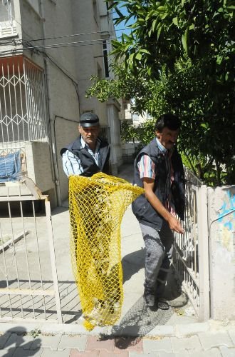 Bornova Belediyesi'nden Sokak Hayvanlarına Sıcak Yaklaşım