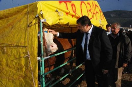 Bornova'da 300 Çadırlık Kurban Satış Ve Kesim Yeri Hazırlandı