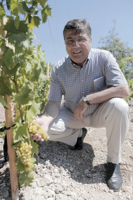 Bornova'nın Misket Üzümleri İlk Meyvelerini Verdi