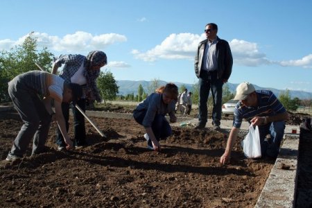 Botanik Bahçesine Fide Dikildi