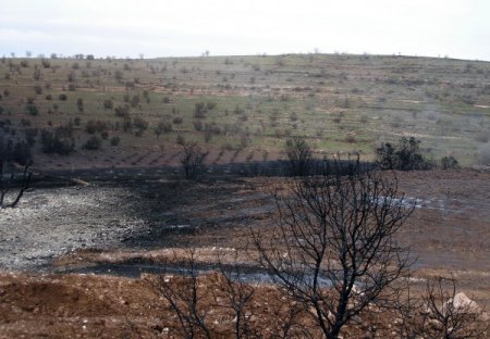 BOTAŞ boru hattında çıkan yangın