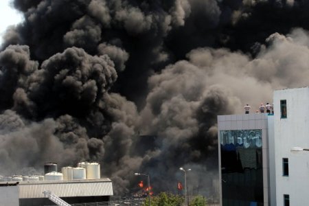 Boya Fabrikası Yangını, Çevreye Büyük Zarar Verdi