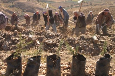 Bozdağlar yeşile bürünecek