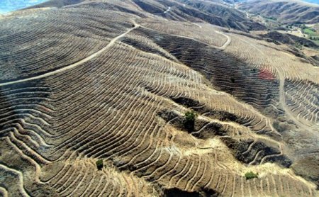 Bozdağlar yeşile bürünecek
