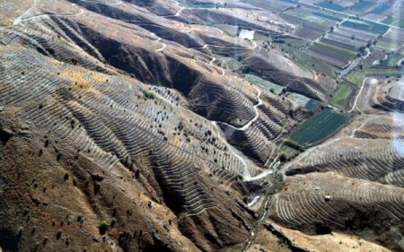 Bozdağlar yeşile bürünecek